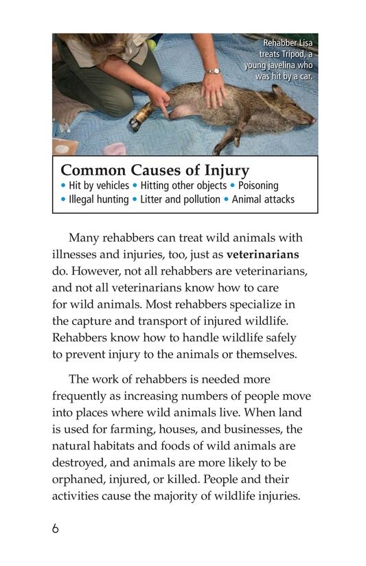 Wildlife Rescue绘本故事第5页