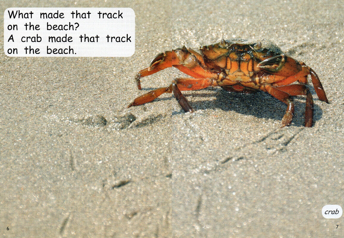 making tracks绘本故事第5页