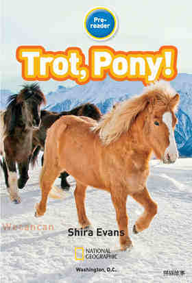 Trot Pony