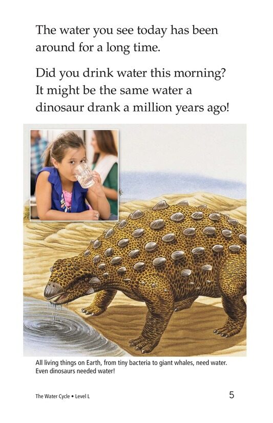 The Water Cycle绘本故事第4页
