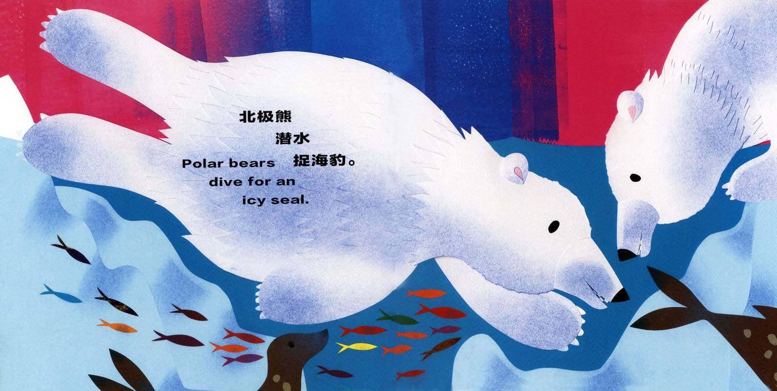 科学童谣双语绘本：熊！熊！熊！绘本故事第3页