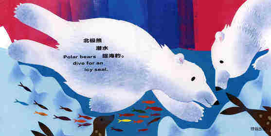 科学童谣双语绘本：熊！熊！熊！绘本故事第3页