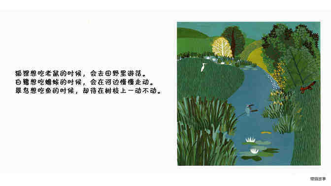 翠鸟绘本故事第3页