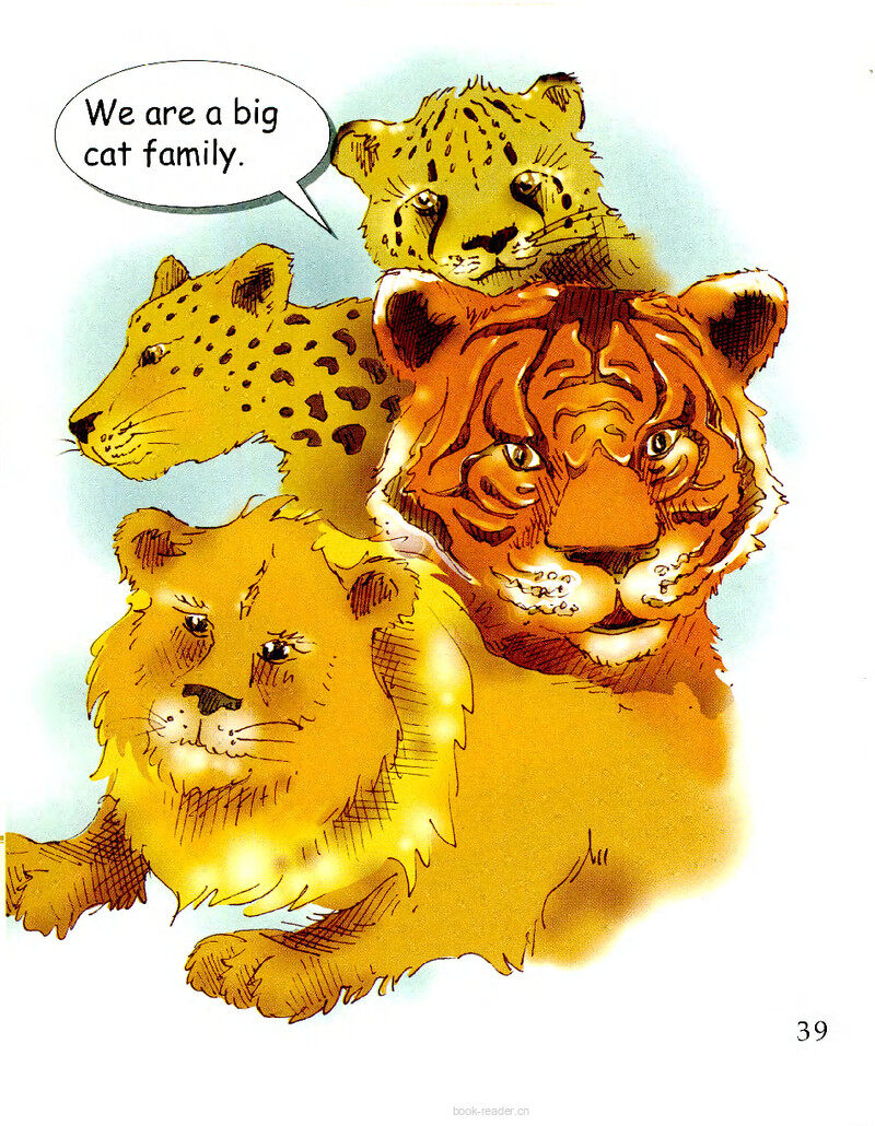 The Cat Family绘本故事第3页