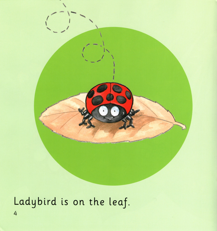 Fly Away Home绘本故事第4页