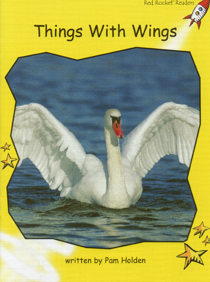 things with wings绘本故事第2页