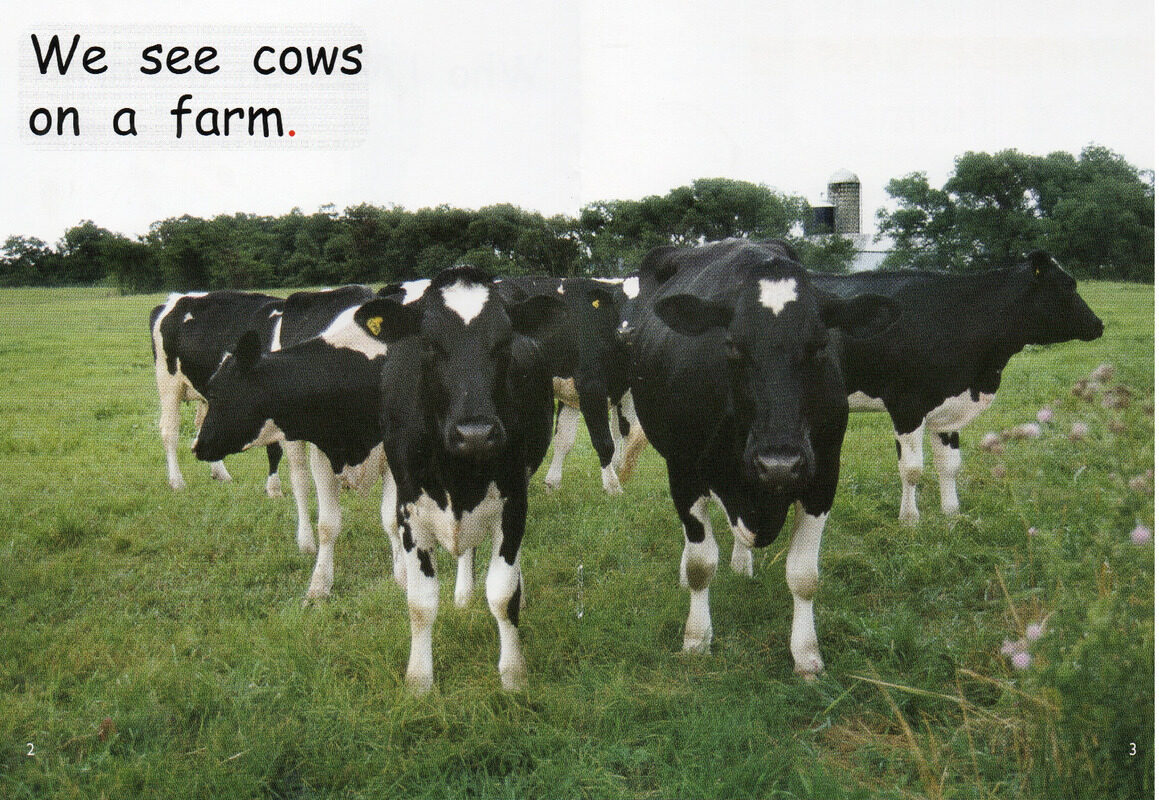 who lives on a farm绘本故事第3页