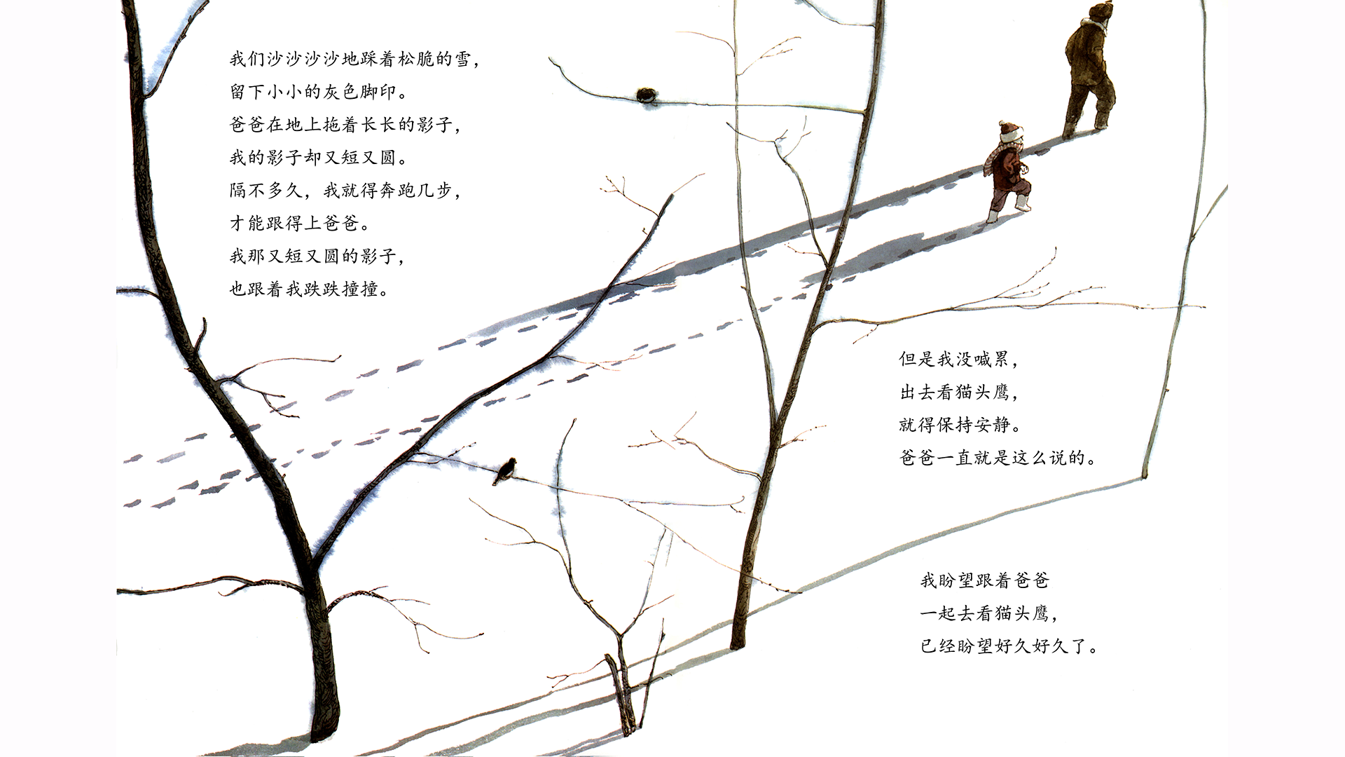 月下看猫头鹰绘本故事第5页