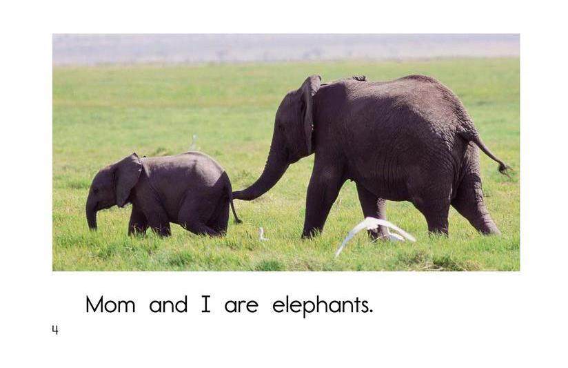 Mom and I绘本故事第4页