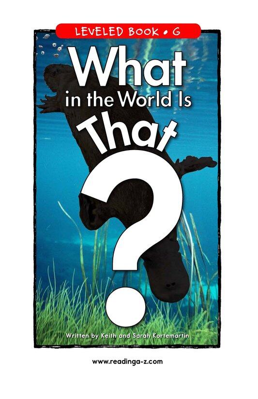 What in the World Is That绘本故事第2页