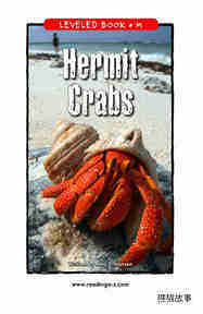 Hermit Crabs