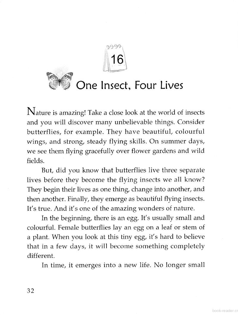One Insect, Four Lives绘本故事第2页
