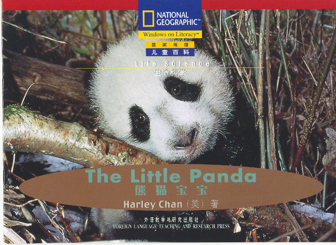 The Little Panda绘本故事第2页