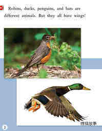 Animals with Wings绘本故事第3页