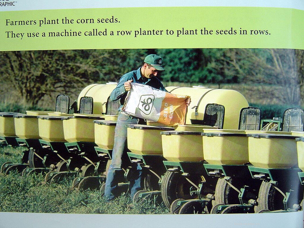 corn绘本故事第5页