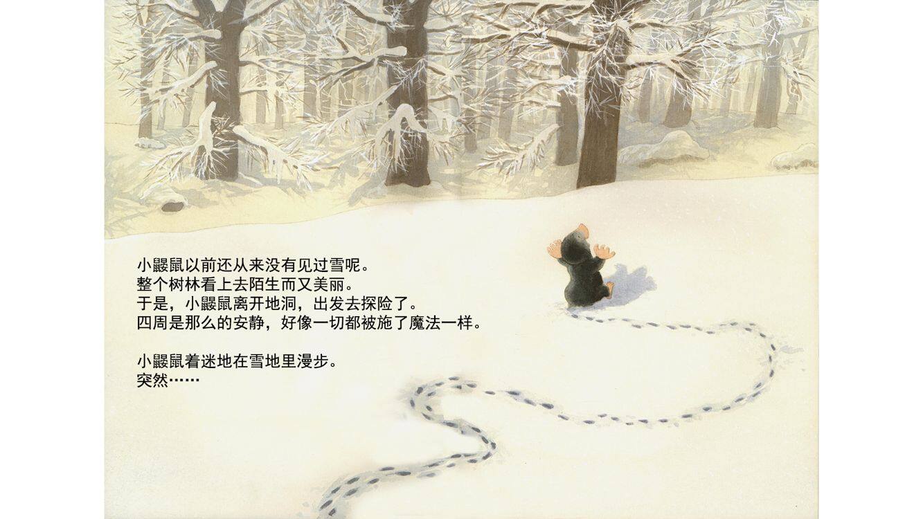 雪地里的钻石绘本故事第4页