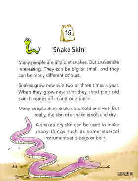 Snake Skin绘本故事第2页