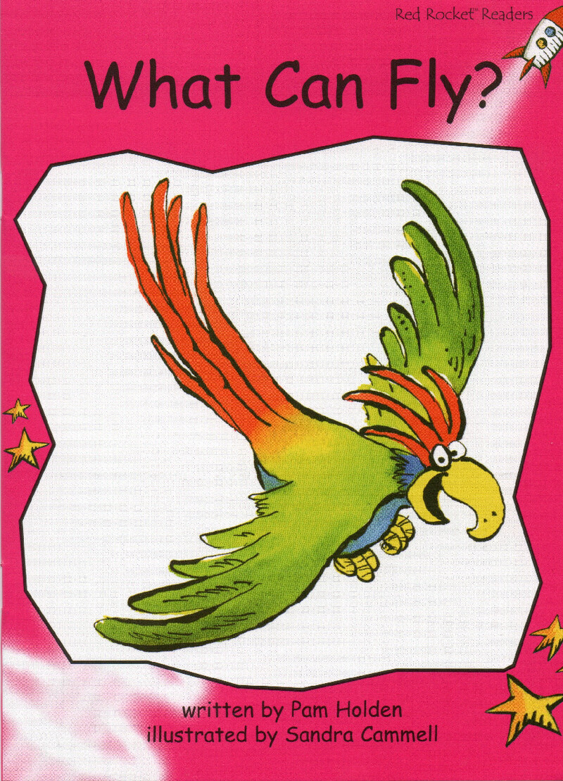 what can fly绘本故事第2页