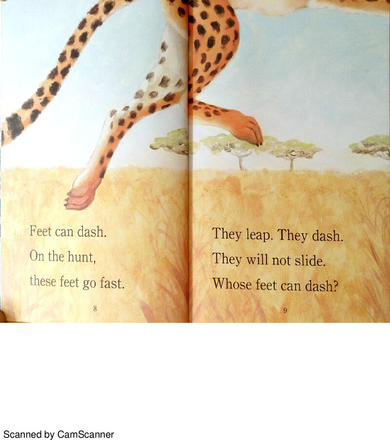 Whose Feet绘本故事第5页