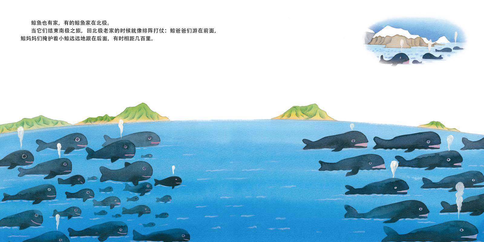 回家绘本故事第4页