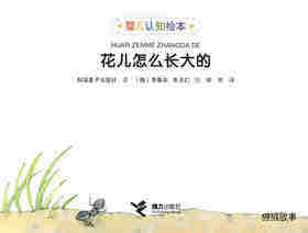 花儿怎么长大的绘本故事第1页