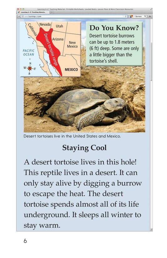 What Lives in This Hole绘本故事第5页