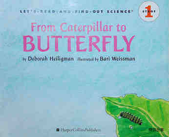 From caterpillar to butterfly