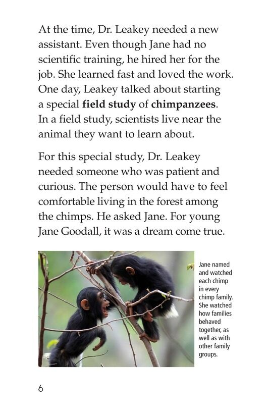 Jane Goodall绘本故事第5页