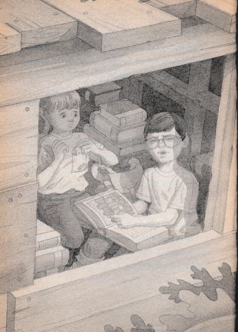 02 Big Bugs绘本故事第5页