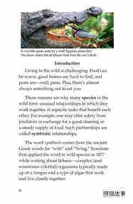 Symbiotic Wildlife绘本故事第3页