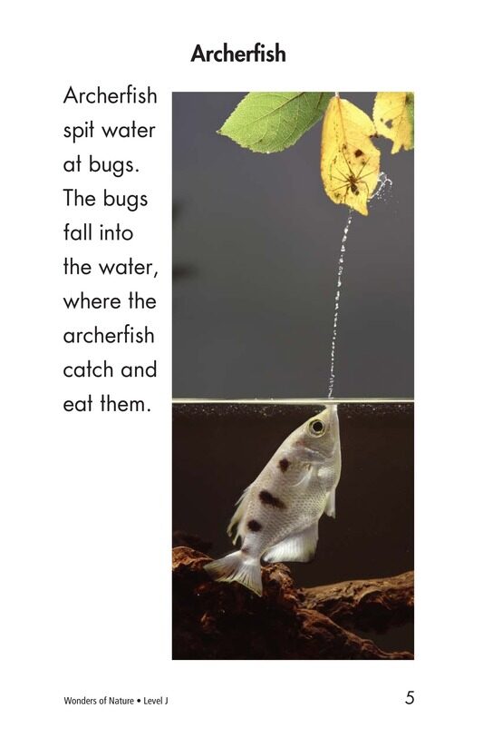 Wonders of Nature绘本故事第4页