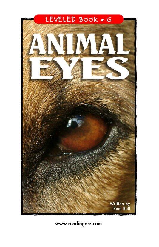 Animal Eyes绘本故事第2页
