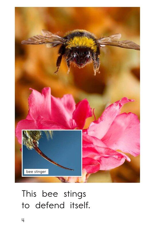 Animals That Sting绘本故事第4页