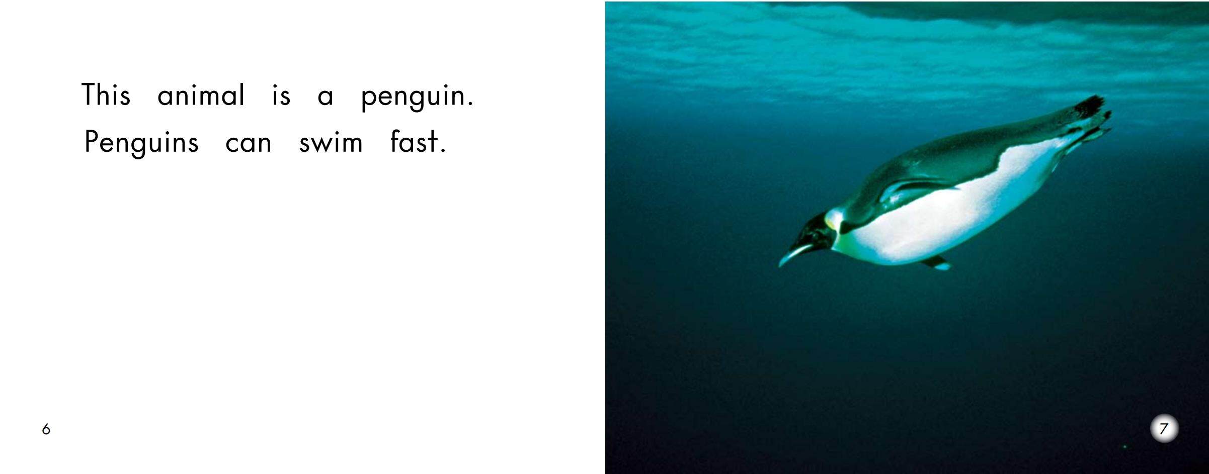 Animals that go fast绘本故事第5页