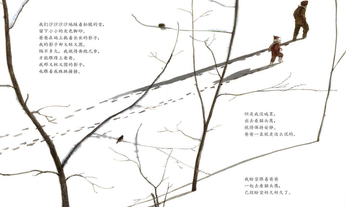 月下看猫头鹰绘本故事第4页