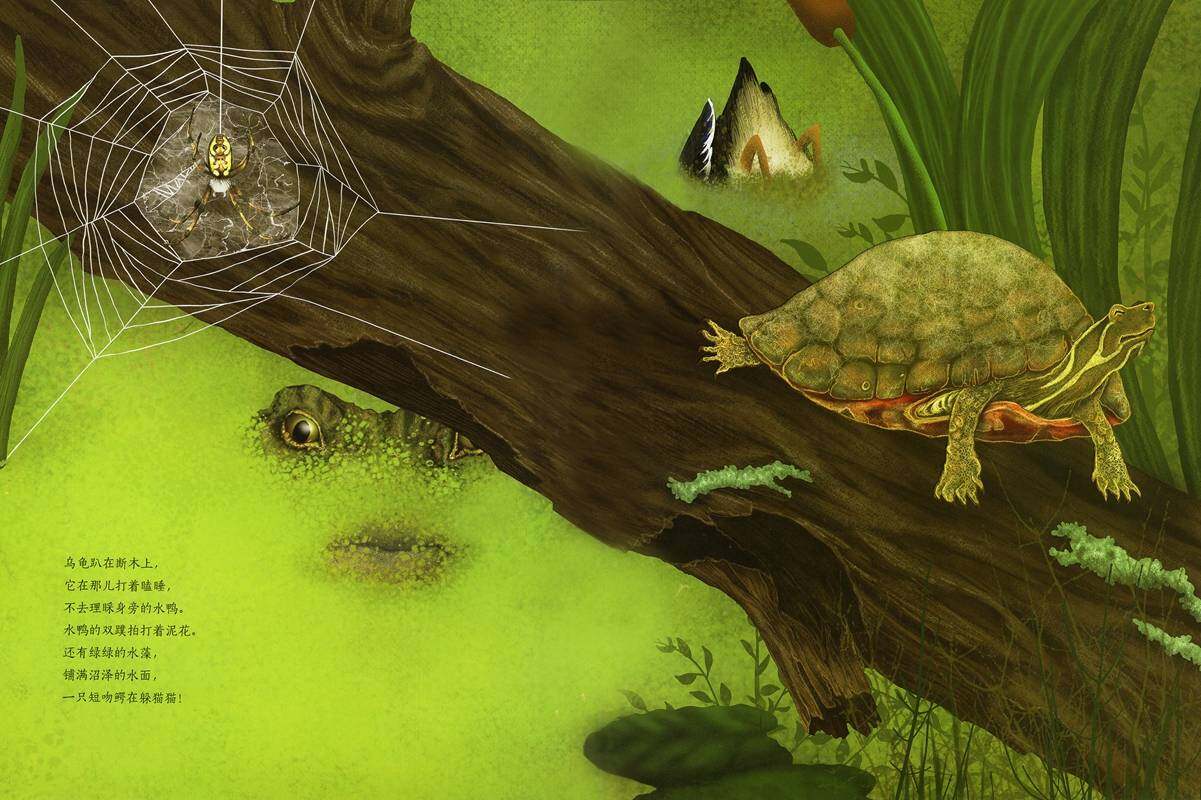动物成长故事绘本：鳄鱼觅食记绘本故事第4页
