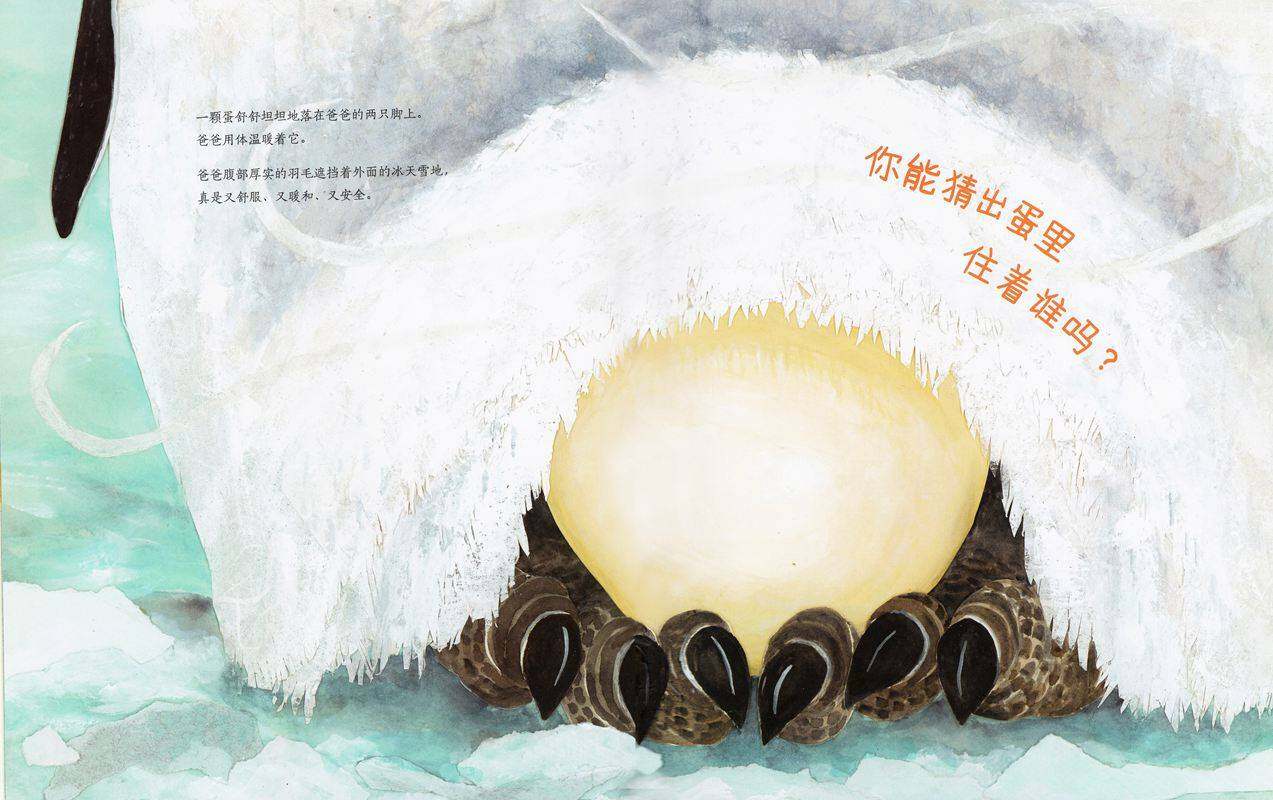 动物成长故事绘本：猜猜蛋里住着谁绘本故事第2页