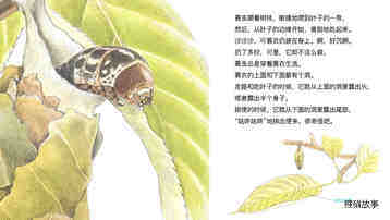 勤奋的蓑衣匠蓑虫绘本故事第5页