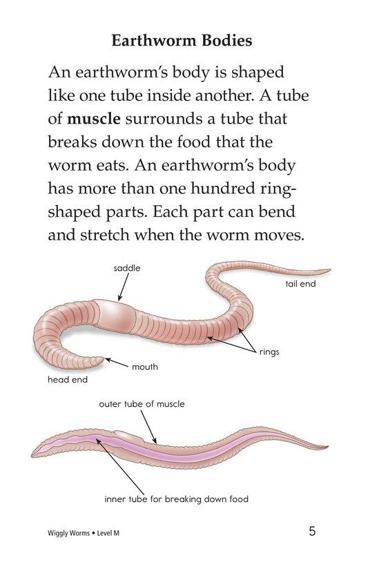 Wiggly Worms绘本故事第4页