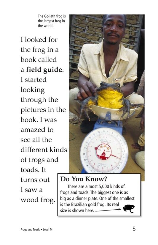 Frogs and Toads绘本故事第4页