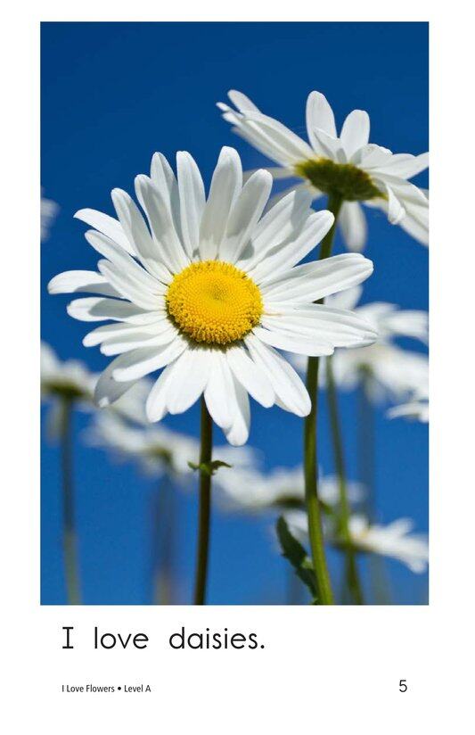 I Love Flowers绘本故事第5页