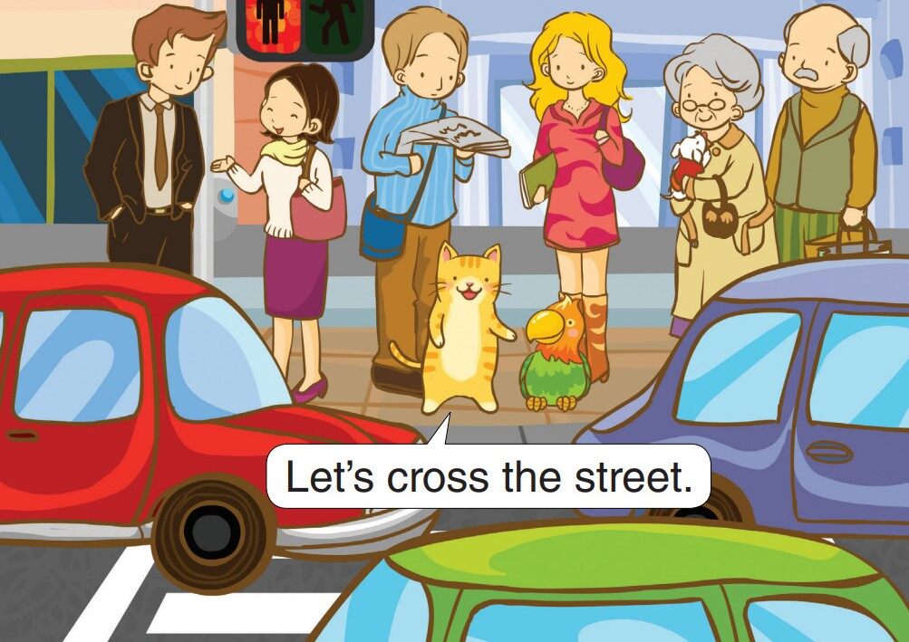 Can You Fly?绘本故事第2页