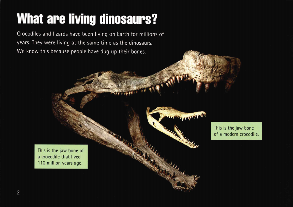 Living Dinosaurs绘本故事第3页