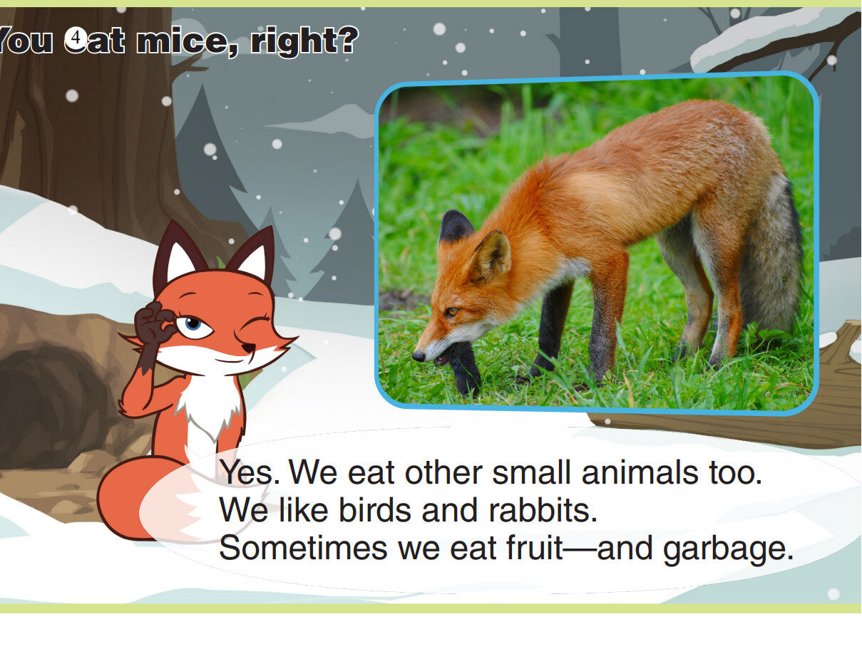 Red Fox绘本故事第5页