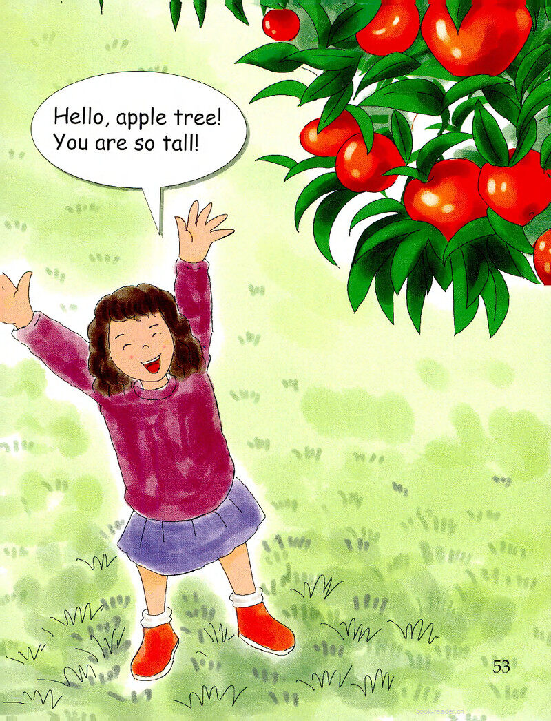 My Apple Tree绘本故事第3页