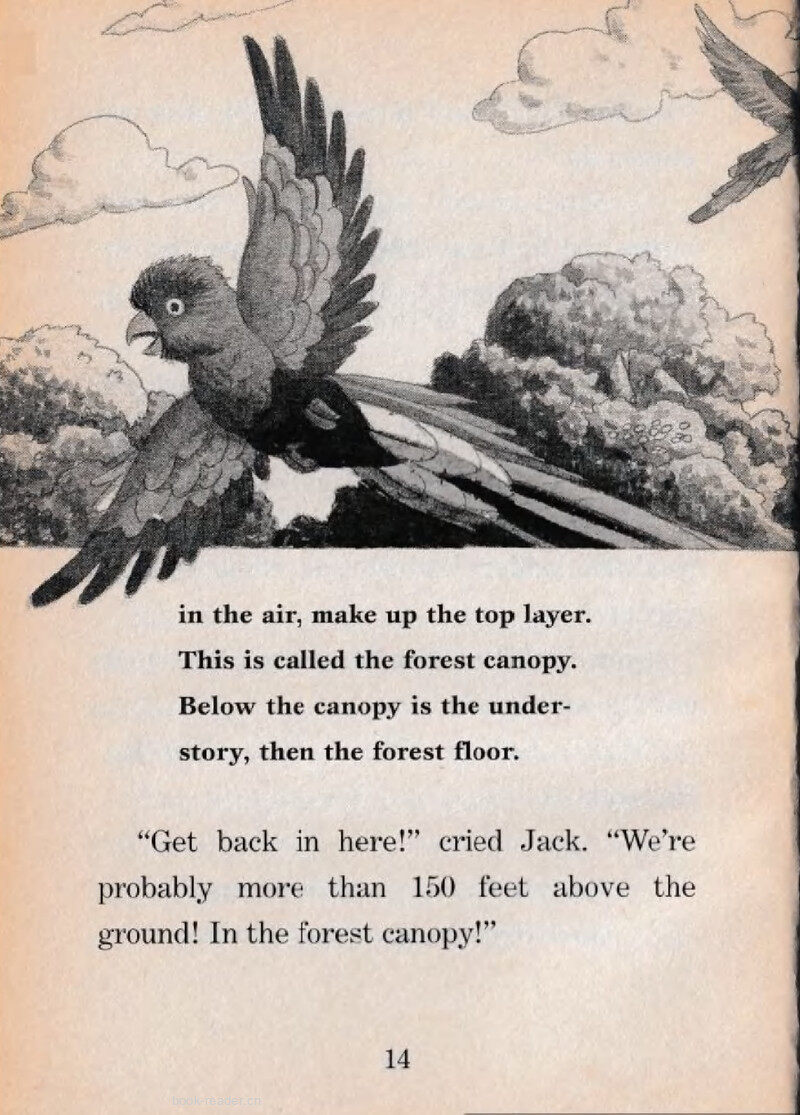 03 Yikes!绘本故事第4页