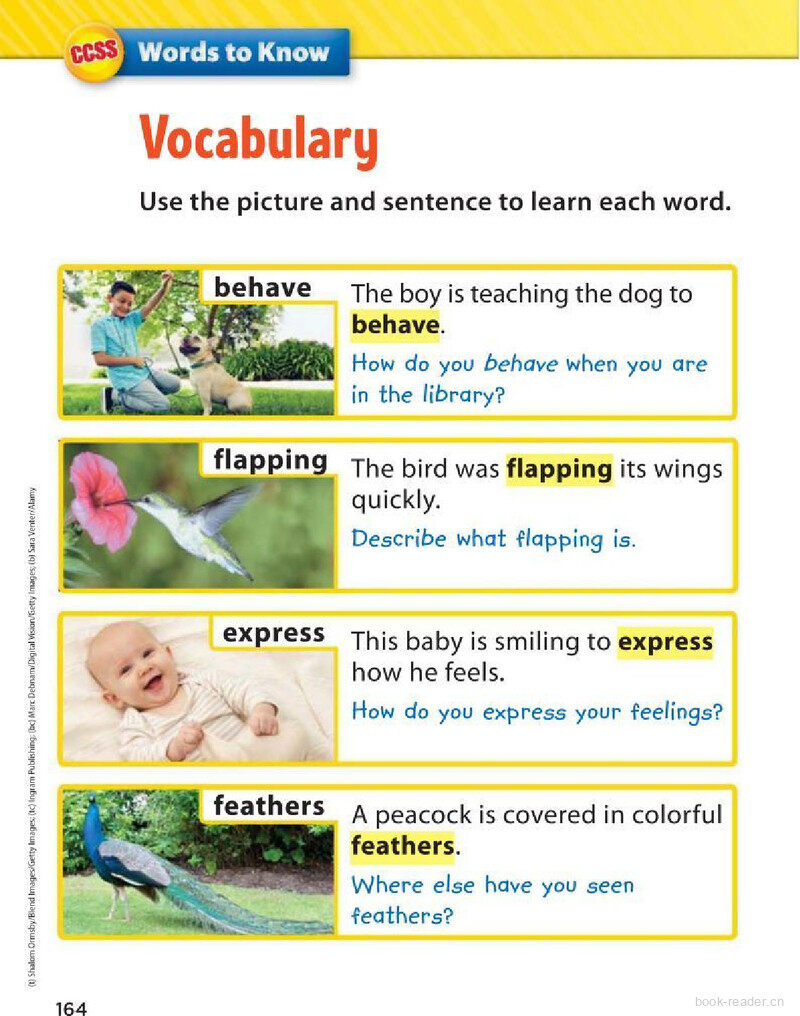 G2 Unit 2 Week 5绘本故事第4页