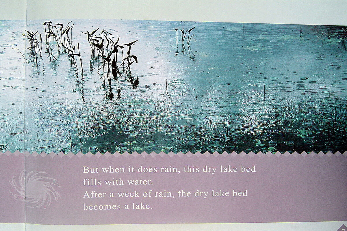 desert rain绘本故事第4页