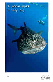Different Kinds of Sharks绘本故事第4页