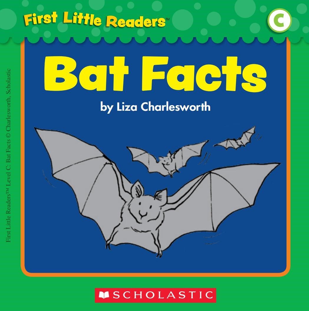 Bat Facts绘本故事第2页